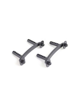 Body mount