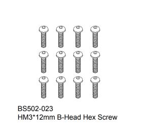 HM3x12mm B-Head Hex Screw 12PCS